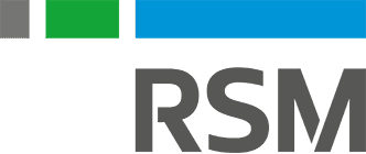 RSM Global - Powerful in Audit and Assurance
