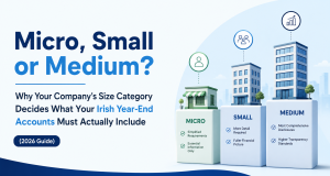Micro-Small-or-Medium-Why-Your-Companys-Size-Category